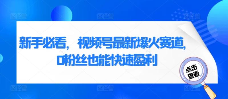 新手必看，视频号最新爆火赛道，0粉丝也能快速盈利-副业库