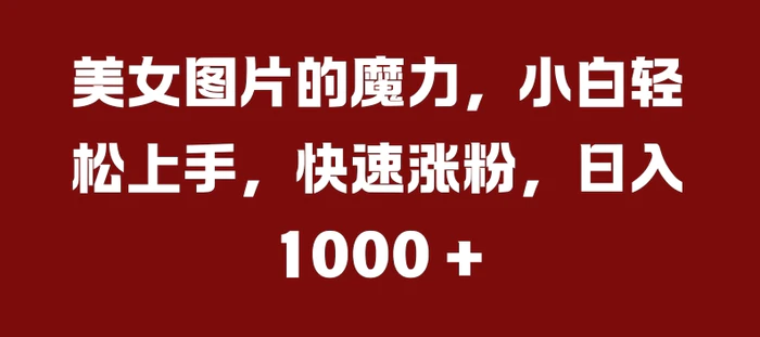 美女图片的魔力，小白轻松上手，快速涨粉，日入几张【揭秘】-副业库