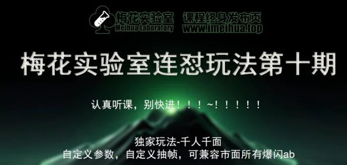 梅花实验室社群专享课视频号连怼玩法第十期课程+第二部分-FF助手全新高自由万能爆闪AB处理-副业库