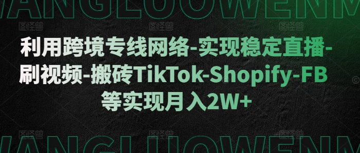 利用跨境专线网络-实现稳定直播-刷视频-搬砖TikTok-Shopify-FB等实现月入2W+【揭秘】-副业库