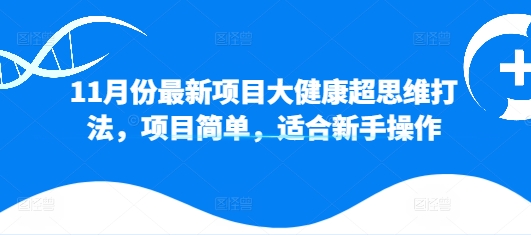 11月份最新项目大健康超思维打法，项目简单，适合新手操作-副业库