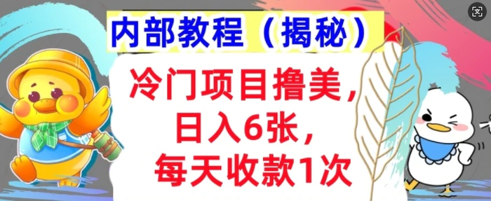 冷门项目撸美金，日入几张，每天收款1次，内部方法，首次公开!-副业库