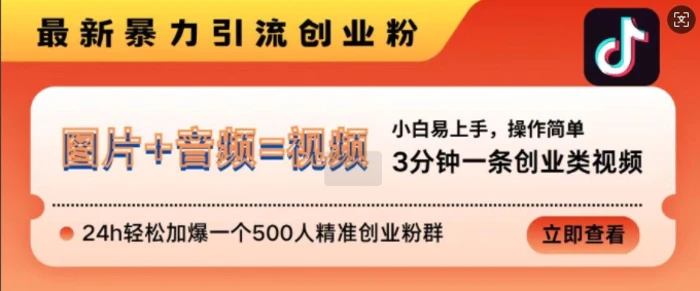 抖音最新暴力引流创业粉，3分钟一条创业类视频，24h轻松加爆一个500人精准创业粉群【揭秘】-副业库