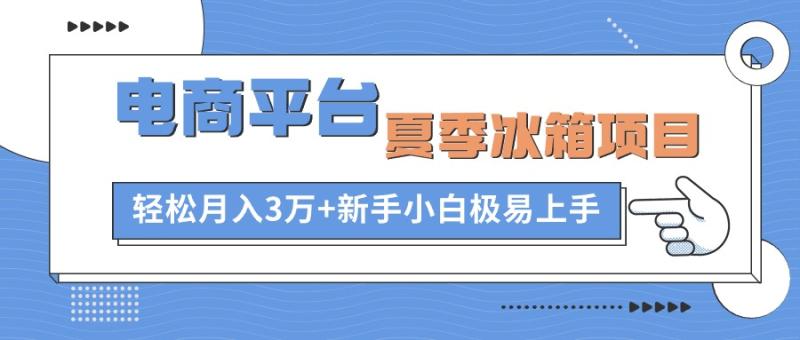 电商平台冰箱项目，项目门槛低，0成本投入，小白轻松上手-副业库