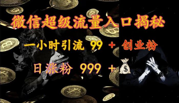 微信超级流量入口揭秘：一小时引流 99 + 创业粉，日涨粉 999 +-副业库