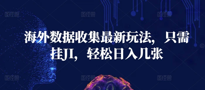 海外数据收集最新玩法，只需挂JI，轻松日入几张-副业库