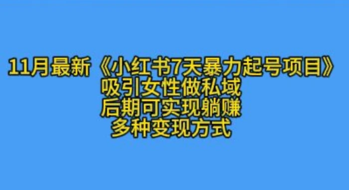 K总部落11月最新小红书7天暴力起号项目，吸引女性做私域【揭秘】-副业库