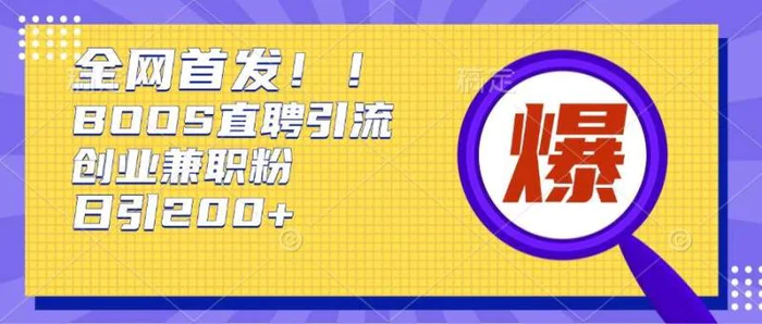 通过Boss直聘，每天轻松钓到200+多条创业大鱼的秘籍【揭秘】-副业库