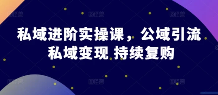 私域进阶实操课，公域引流 私域变现 持续复购-副业库