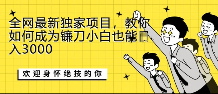 全网最新独家项目，教你如何成为镰刀小白也能日入上K-副业库