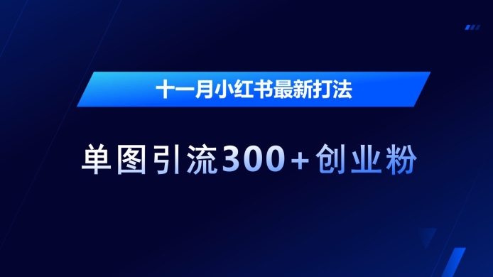 十一月小红书最新打法，单图引流300+创业粉【揭秘】-副业库