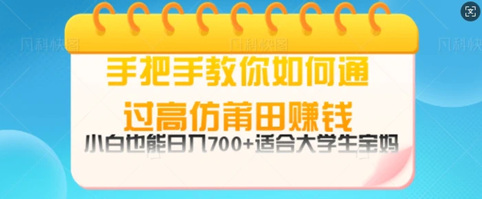 手把手教你如何通过莆田鞋挣钱，小白也能日几张，适会大学生宝妈-副业库