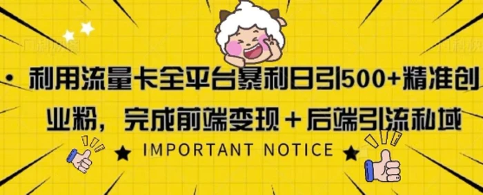 利用流量卡全平台暴利日引500+精准创业粉-副业库