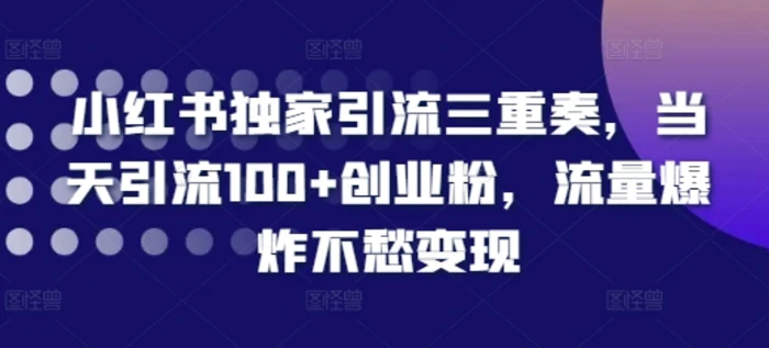 小红书独家引流三重奏，当天引流100+创业粉，流量爆炸不愁变现【揭秘】-副业库