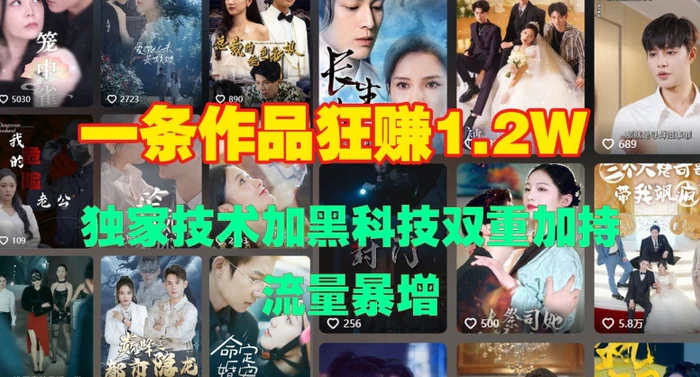 一条作品收益1.2w，独家技术加黑科技双重加持，流量暴增-副业库