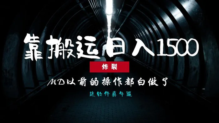 （13568期）炸裂！0基础搬运也能批量日赚1500+，以前的操作都白做了！-副业库