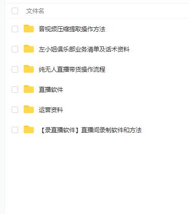 左小姐-直播带货俱乐部十三行、无人直播，全套教程附：工具、文档、话术资料-副业库