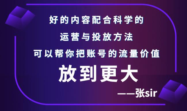 张sir账号流量增长课，告别海王流量，让你的流量更精准-副业库
