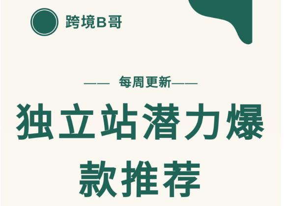 【跨境B哥】独立站潜力爆款选品推荐，测款出单率高达百分之80-副业库