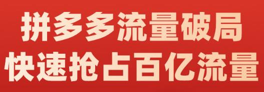阿杰·拼多多流量破局:如何打黑标，爆款的思路，拼多多流量框架，快速抢占百亿流量-副业库