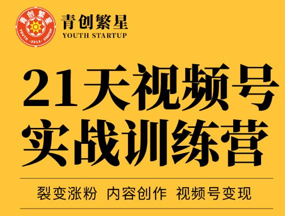 张萌21天视频号实战训练营，裂变涨粉、内容创作、视频号变现 价值298元-副业库