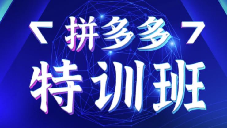 星雪教育·拼多多基础班+进阶班+突破班，用系统的学习模式快速改变现状价值3580元-副业库