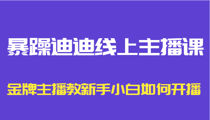 暴躁迪迪线上主播课，金牌主播教新手小白如何开播-副业库