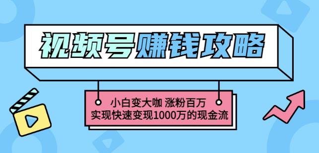 玩转微信视频号赚钱：小白变大咖涨粉百万实现快速变现1000万的现金流-副业库