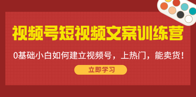 视频号短视频文案训练营：0基础小白如何建立视频号，上热门，能卖货！-副业库