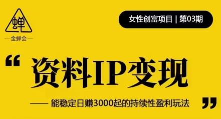 资料IP变现，能稳定日赚3000起的持续性盈利玩法-副业库