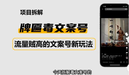 2023抖音快手毒文案新玩法，牌匾文案号，起号快易变现-副业库