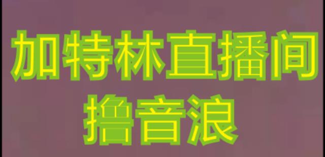 抖音加特林直播间搭建技术，抖音0粉开播，暴力撸音浪，2023新口子，每天800+【素材+详细教程】-副业库