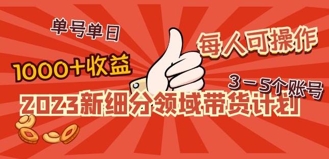 2023新细分领域带货计划：单号单日1000+收益不难，每人可操作3-5个账号-副业库