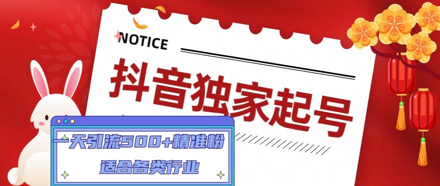 抖音独家起号，一天引流500+精准粉，适合各类行业（9节视频课）-副业库