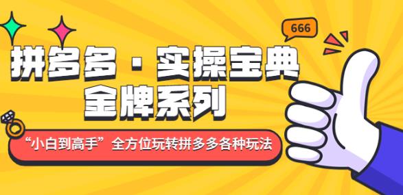 拼多多·实操宝典：金牌系列“小白到高手”带你全方位玩转拼多多各种玩法-副业库