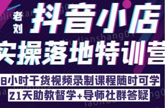 抖音小店实操落地特训营：抖音小店无货源精细化运营，抖店商品卡流量（22节）-副业库