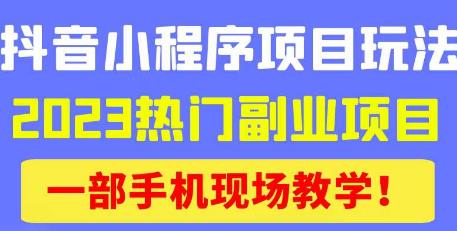 抖音小程序9.0新技巧，2023热门副业项目，动动手指轻松变现-副业库
