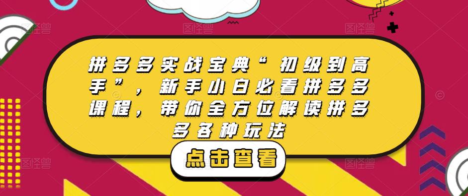 拼多多实战宝典“初级到高手”，新手小白必看拼多多课程，带你全方位解读拼多多各种玩法-副业库