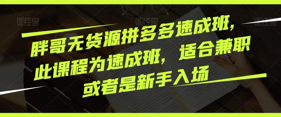 胖哥无货源拼多多速成班，此课程为速成班，适合兼职或者是新手入场-副业库