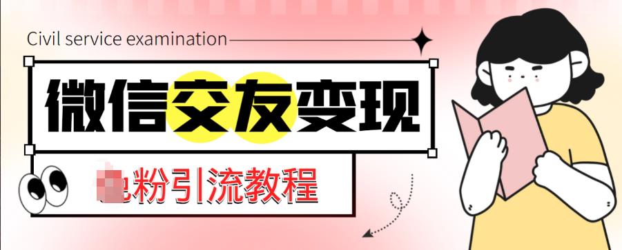 微信交友变现项目，吸引全网LSP男粉精准变现，小白也能轻松上手，日入500+-副业库