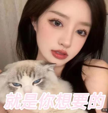 图片[2]-微信交友变现项目，吸引全网LSP男粉精准变现，小白也能轻松上手，日入500+-副业库
