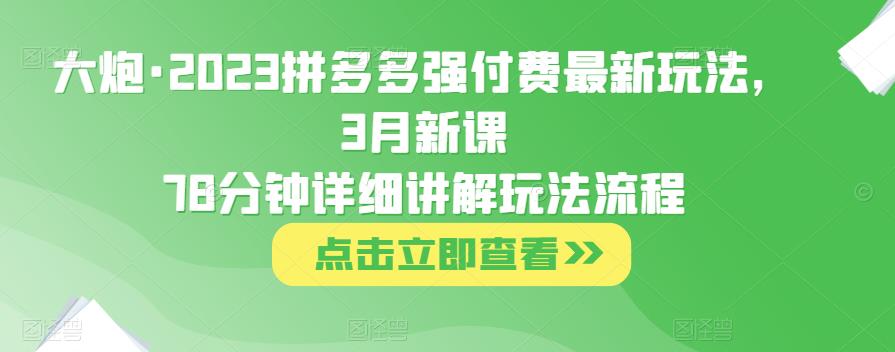 大炮·2023拼多多强付费最新玩法，3月新课​78分钟详细讲解玩法流程-副业库