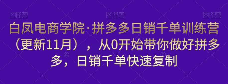 白凤电商学院·拼多多日销千单训练营，从0开始带你做好拼多多，日销千单快速复制（更新知2023年3月）-副业库