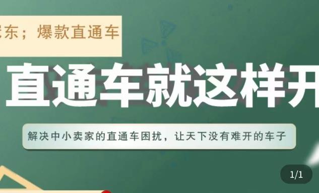 冠东·淘系直通车保姆级教程，全面讲解直通车就那么简单-副业库