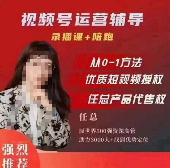 任姐视频号运营，懂老板的任总视频号短视频运营，从0到1做视频号课程-副业库