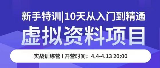 虚拟资料项目新手特训，10天从入门到精通，保姆级实操教学-副业库