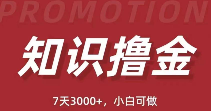 抖音知识撸金项目：简单粗暴日入1000+执行力强当天见收益(教程+资料)-副业库
