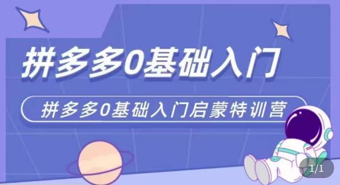 拼多多运营0-1实操特训营，拼多多0基础入门，从基础到进阶的可实操玩法-副业库