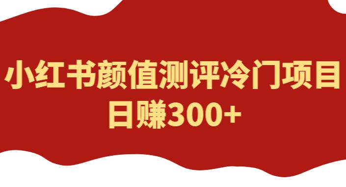 外面1980的项目，小红书颜值测评冷门项目，日赚300+【揭秘】-副业库
