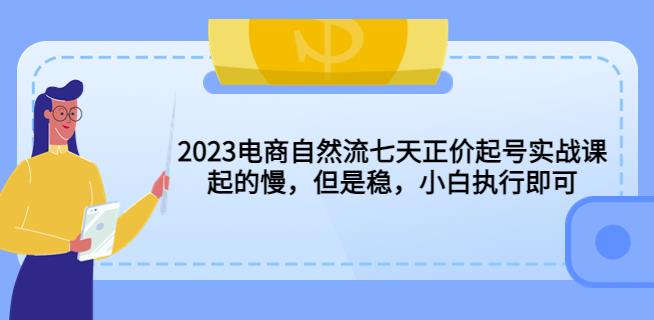 2023电商自然流七天正价起号实战课：起的慢，但是稳，小白执行即可！-副业库